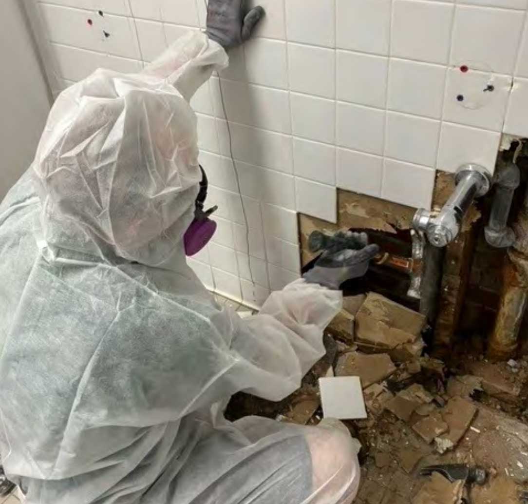 mold_remediation